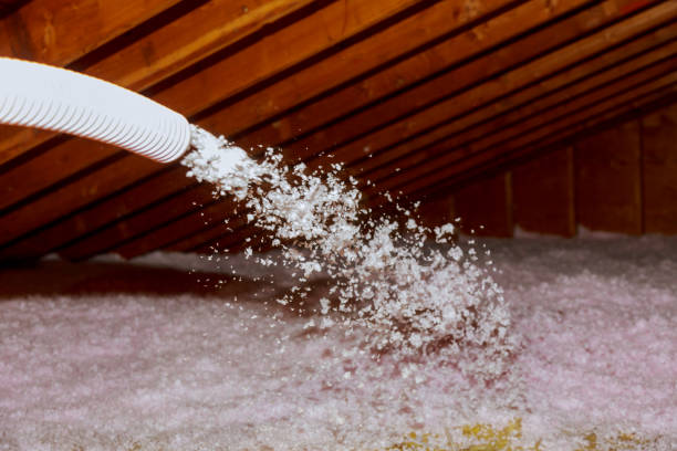 Types of Insulation We Offer in Lake Dalecarlia, IN
