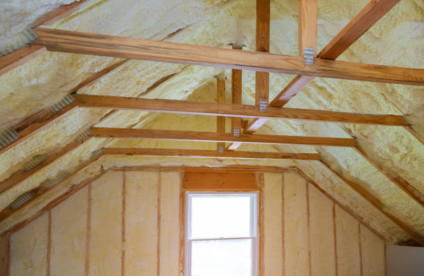 Types of Insulation We Offer in Lake Dalecarlia, IN