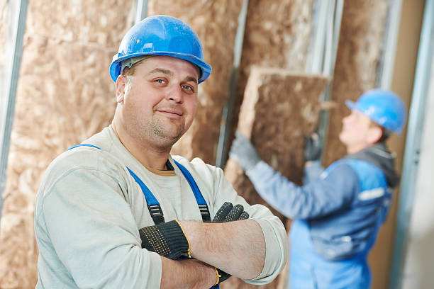 Best Insulation Maintenance and Repair in Lake Dalecarlia, IN