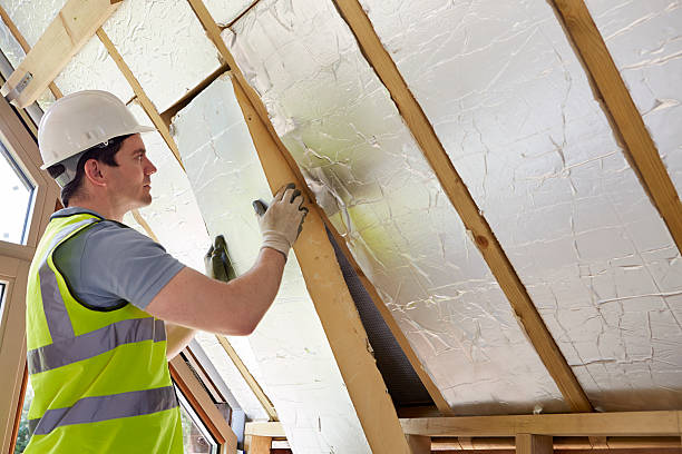 Best Insulation for Specific Applications in Lake Dalecarlia, IN