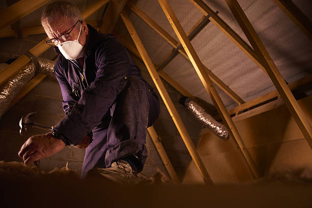 Best Commercial Insulation in Lake Dalecarlia, IN