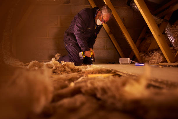 Best Specialized Insulation Services in Lake Dalecarlia, IN